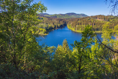 Scenic view of lake in forest against sky