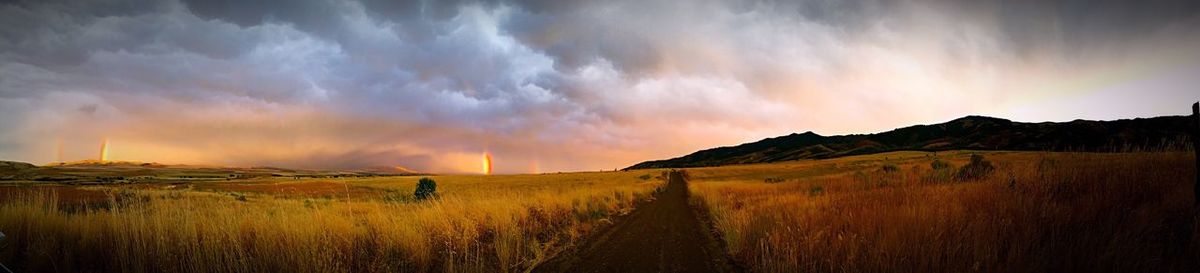 Panoramic view of field against sky during sunset