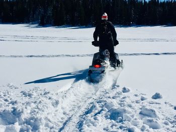 Rear view of person on snow covered land