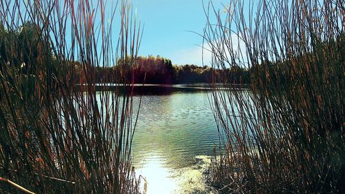 Scenic view of calm lake