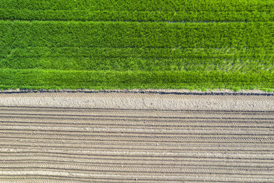 Full frame shot of farm