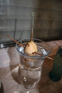 Close-up of drink on table