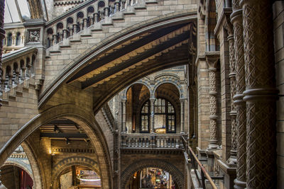 Interior of natural history museum