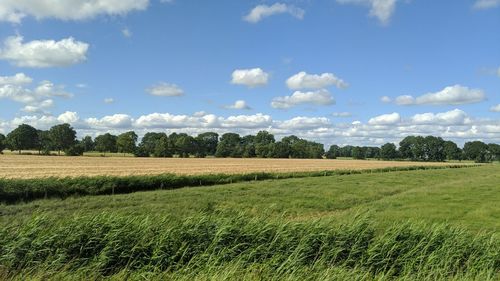 Scenic view of field against sky