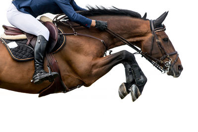 Side view of person riding horse in competition