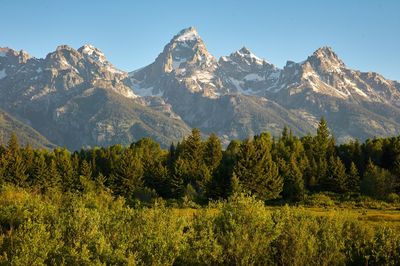 Scenic view of mountains at grand teton national park