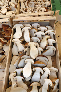 High angle view of mushrooms in wooden crates at market