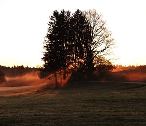 Silhouette trees on field against clear sky during sunset