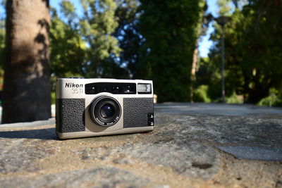 Close-up of camera on tree