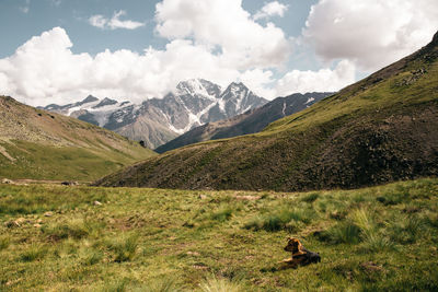 Scenic view of landscape against sky