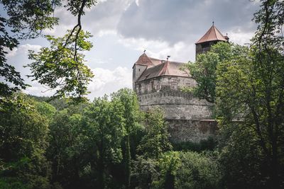 Low angle view of trees and plants against sky