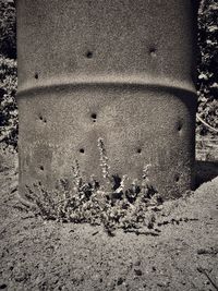 Close-up of weathered wall