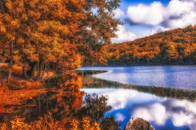 Reflection of trees in lake during sunset