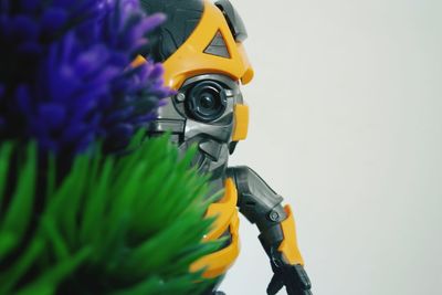 Close-up of yellow flowering plant