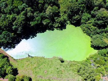 High angle view of lake amidst trees