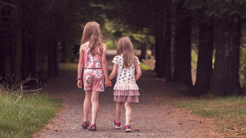 Rear view of siblings walking on footpath in forest