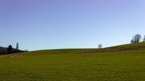 Scenic view of land against clear sky