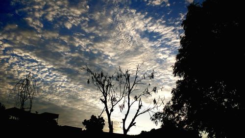 Silhouette of trees against dramatic sky