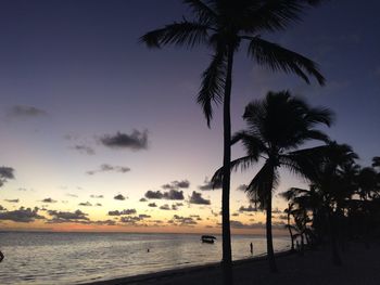 Palm trees on beach at sunset