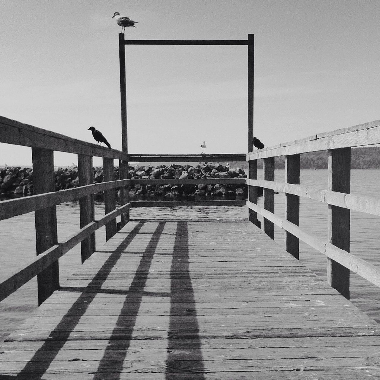 built structure, architecture, railing, the way forward, pier, water, sea, sky, building exterior, day, diminishing perspective, clear sky, incidental people, sunlight, in a row, walkway, wood - material, outdoors, street light, footbridge