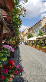 Street amidst plants and buildings in city against sky