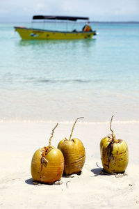 Close-up of fruits on beach against sea