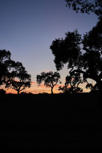 Silhouette trees on field against clear sky during sunset