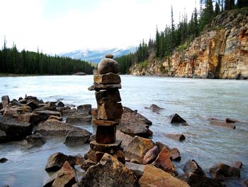 Bird perching on rock by sea against sky