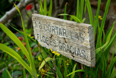 Close-up of text on grass