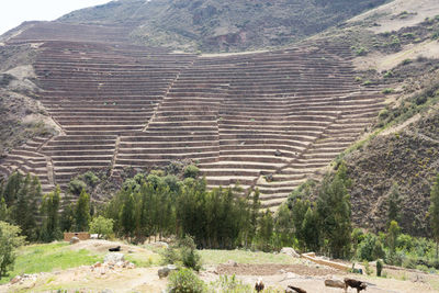 Panoramic view of landscape against sky