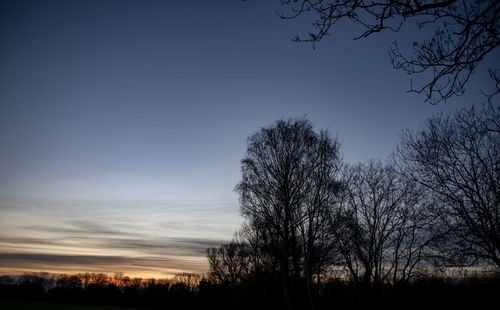 Low angle view of silhouette bare trees against sky