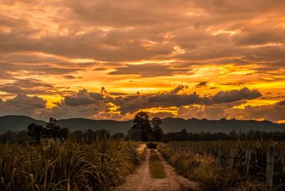 Scenic view of field against sky during sunset