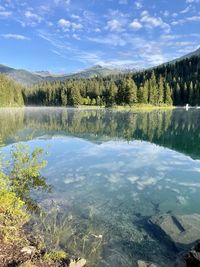 Scenic view of lake in forest against sky