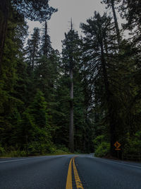 Road amidst trees in forest