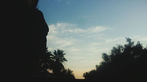 Low angle view of silhouette trees against sky