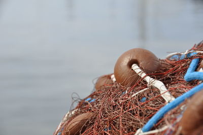 Close-up of fishing net