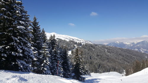 Snow covered mountain against sky