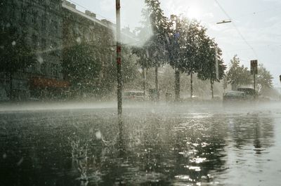 Rain drops on water