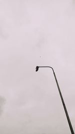 Low angle view of bird perching on street light against sky