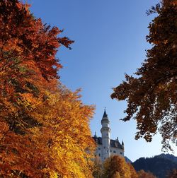 Low angle view of trees against sky during autumn with castle
