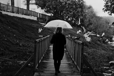 Rear view of woman walking with umbrella on footbridge