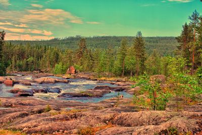 Scenic view of landscape against sky