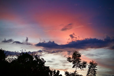Low angle view of silhouette trees against dramatic sky