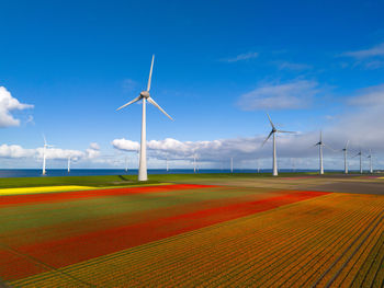 Windmills on field against sky