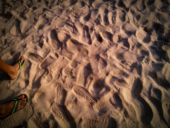 Low section of person on sand at beach