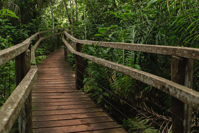 Wooden footbridge amidst trees in forest