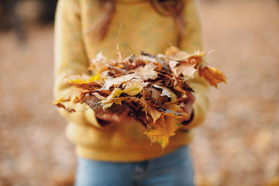 Close-up of hand holding dry leaves