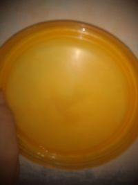 Close-up of hand holding drink