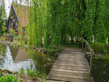 Footpath by lake against trees