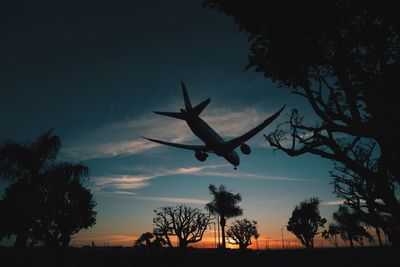 Low angle view of silhouette trees against sky during sunset